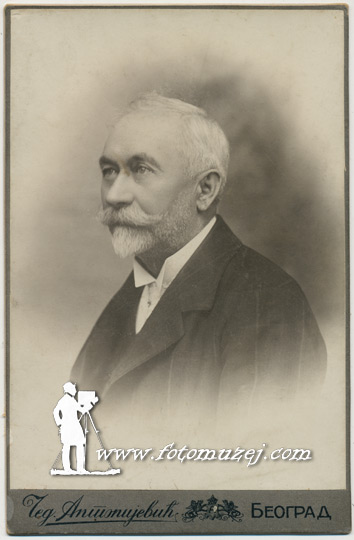 Ljubomir Stojanović, političar, istoričar i filolog (1860-1930) (autor Čedomir Antonijević)