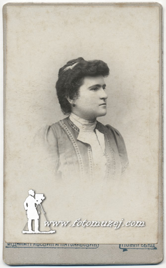 Gospođa Mica (autor Dimitrije Dimitrijević)