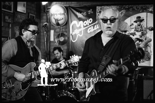 Bob Margolin and Mike Sponza band (autor Zoran  Trtica)