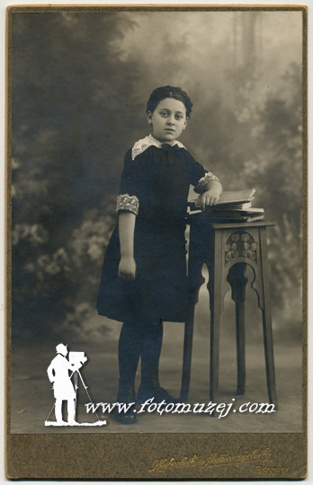 Devojčica sa knjigama (autor Ivan Živković)